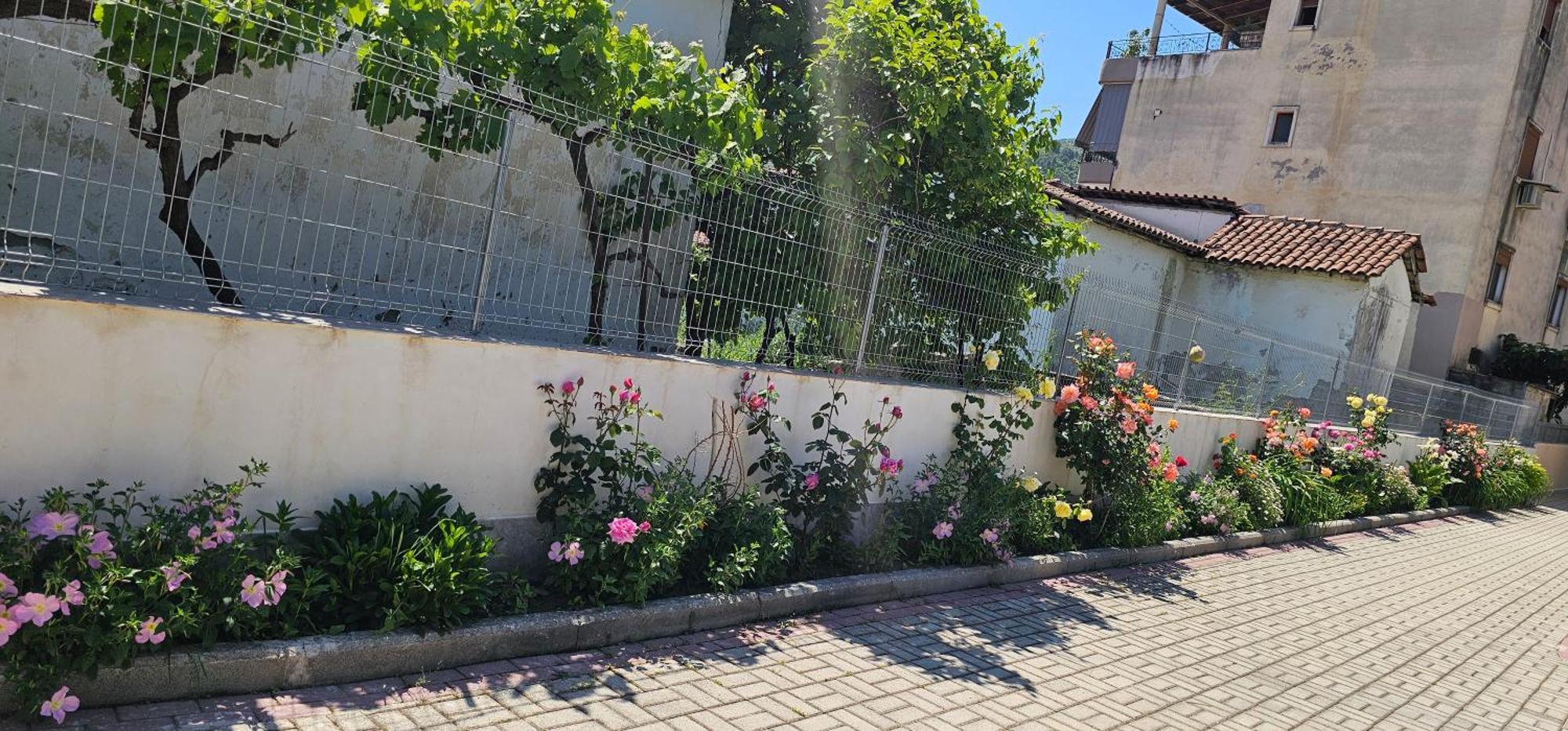 Aliaj Guest House Berat Exterior photo